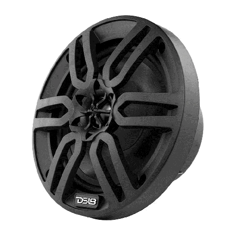 DS18 Lautsprecher 6,5" schwarz / MP6/BK