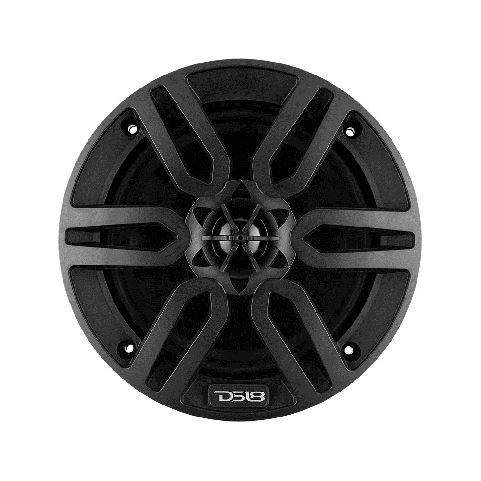 DS18 Lautsprecher 6,5" schwarz / MP6/BK