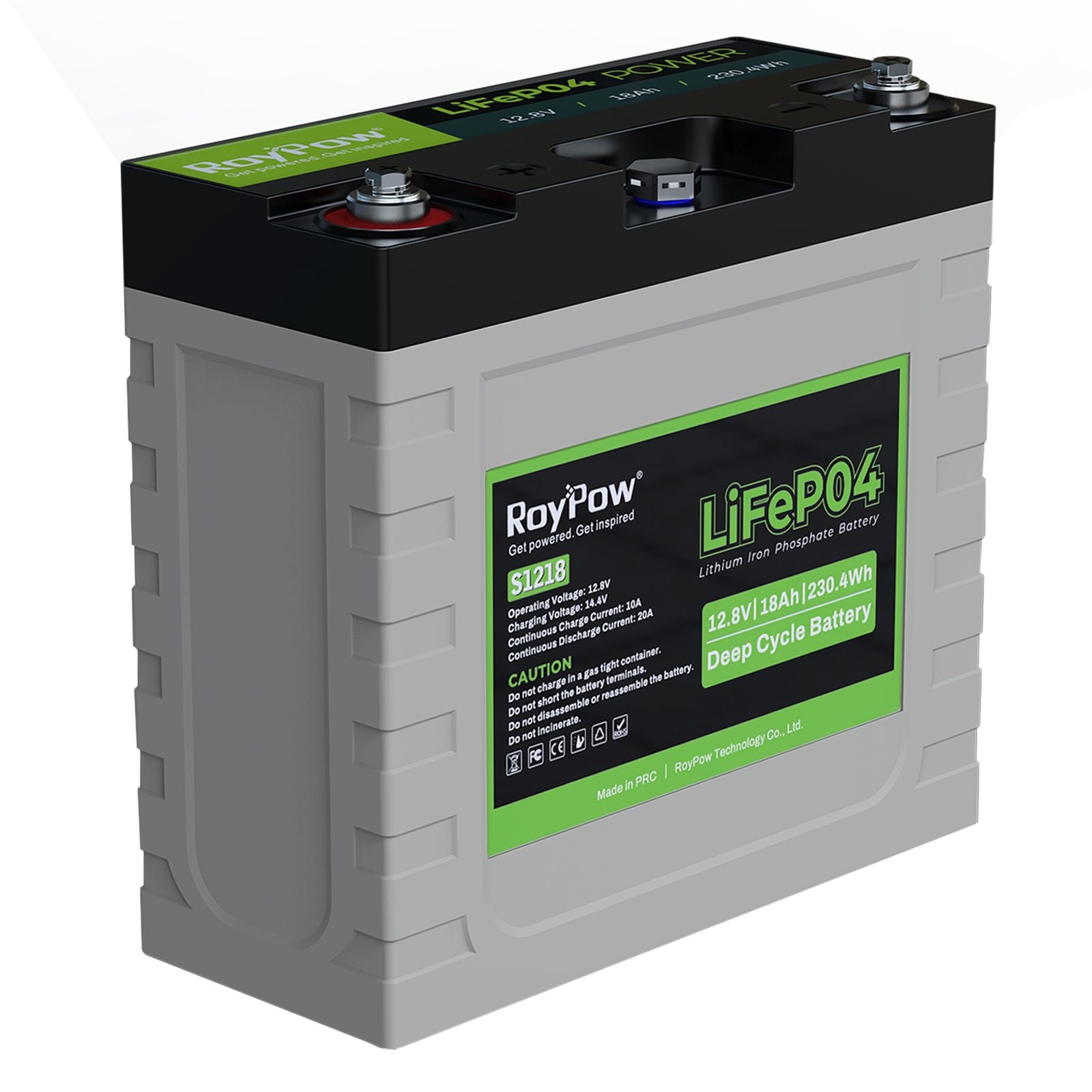 RoyPow LiFePO4 - Lithium Batterien 12V - 18 Ah