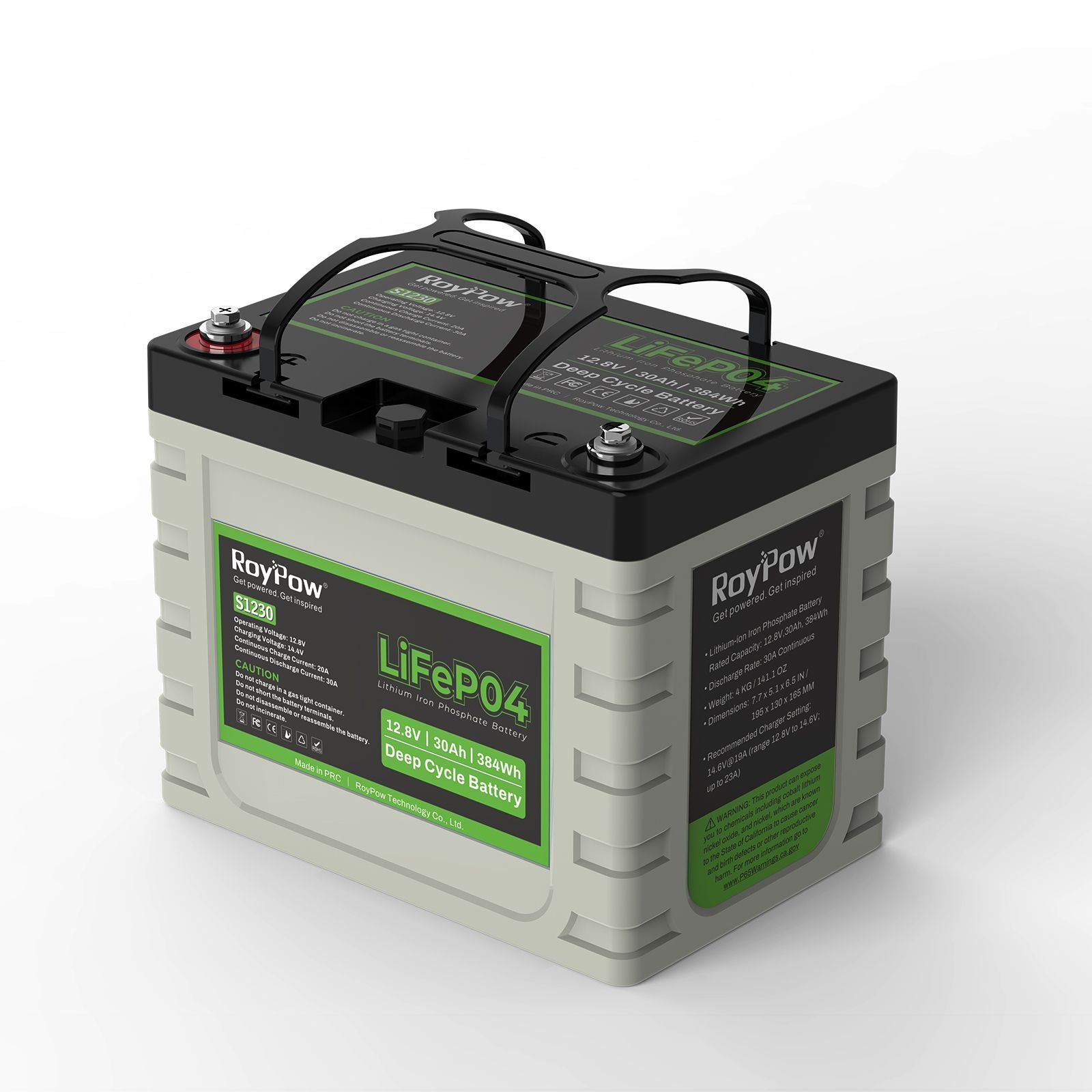 RoyPow LiFePO4 - Lithium Batterien 12V - 30 Ah