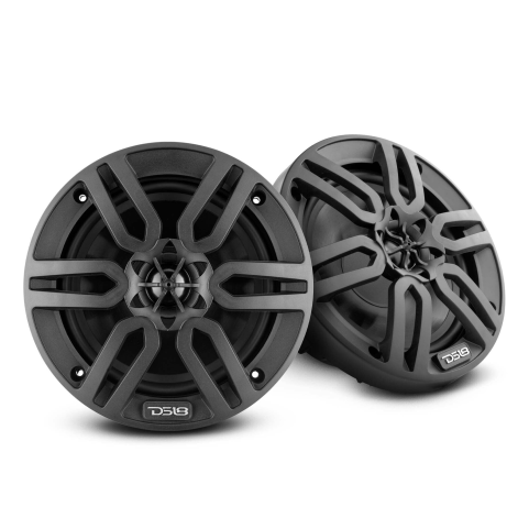 DS18 Lautsprecher 6,5" schwarz / MP6/BK