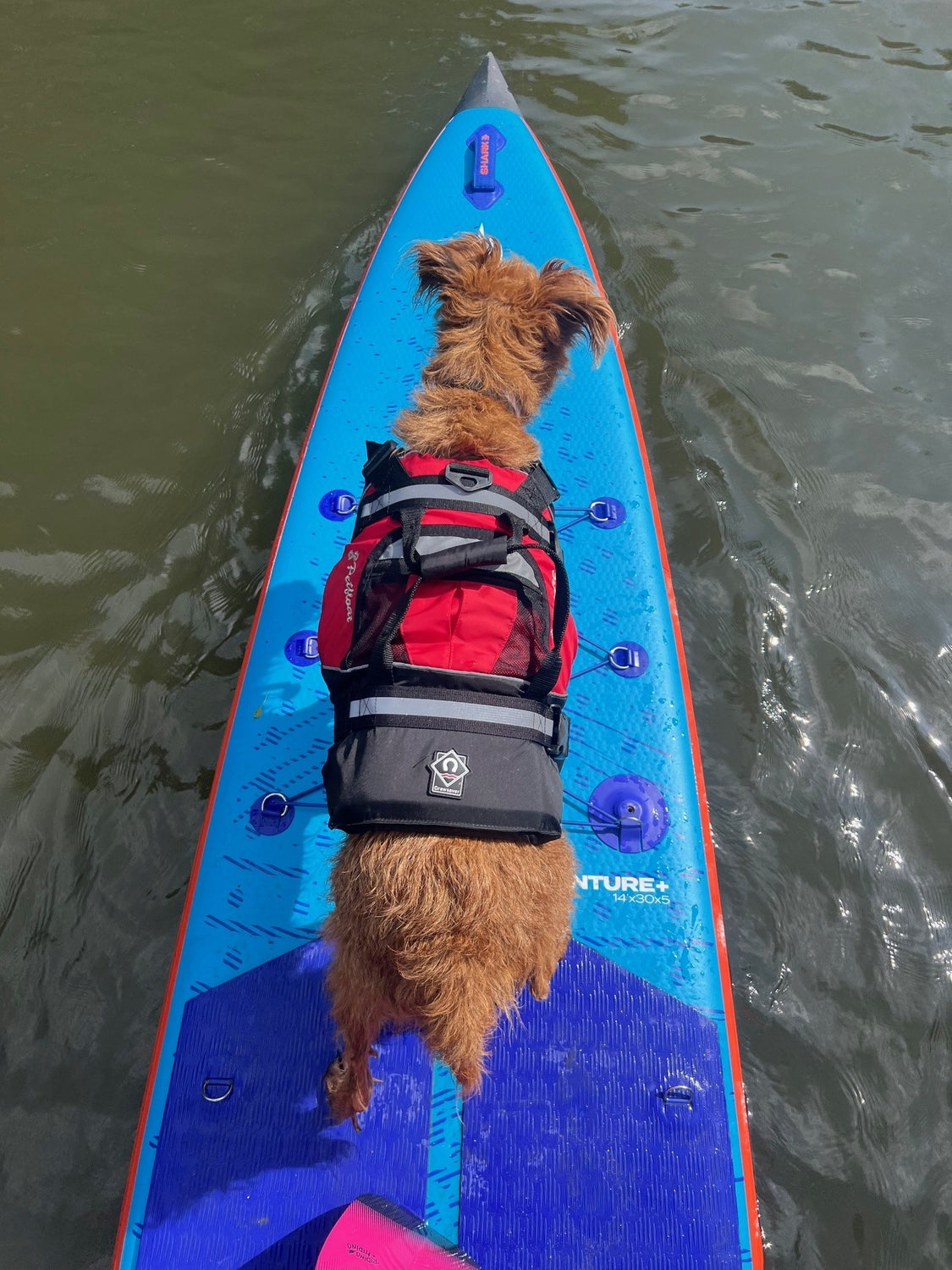Crewsaver Petfloat Hundeschwimmhilfe – Ansicht 2